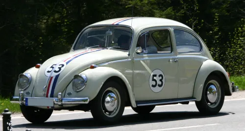herbie