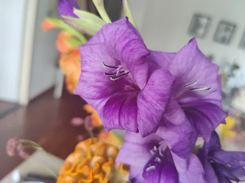 img 20200717 152818 scaled