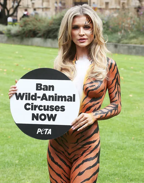 joanna krupa bodypaint 13