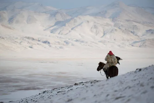 mountain horse hunting 0