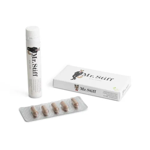 mr stiff set kopie 2