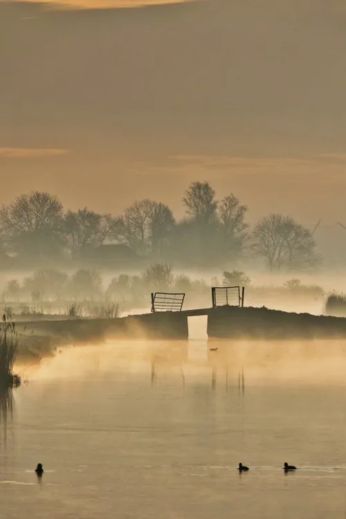 nevelige dageraad ton wever 683x1024