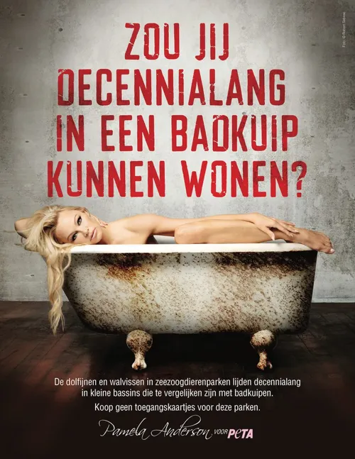 pamela anderson seaworld a dutch update 300 791x1024