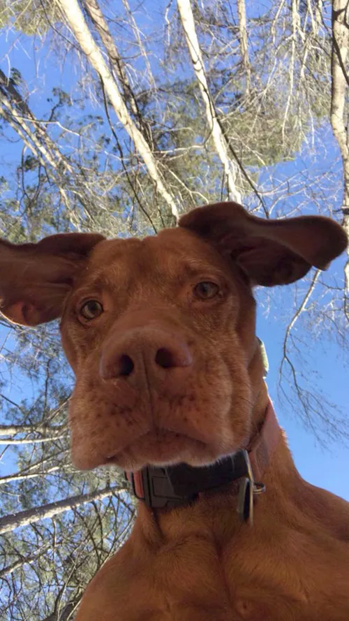 people lost phones found unexpected photos 32 5a60cbb8a8d12 605