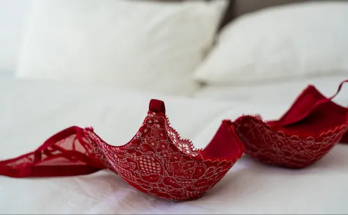 pexels castorly stock 3682265 scaled e1647529675307