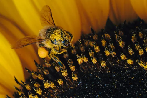 pexels moritz spannenkrebs 13435988 scaled