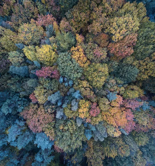 r6rq8t7himv51 png 954x1024