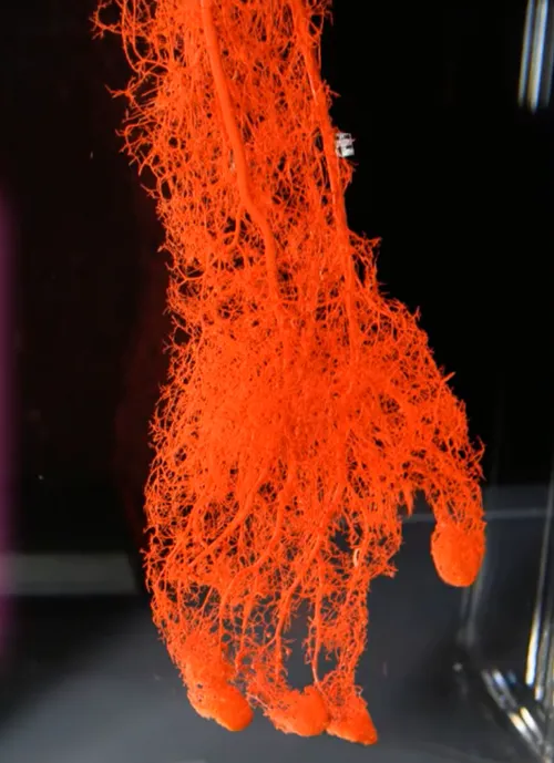 schermafbeelding 2018 09 20 om 150507