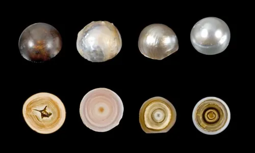 schermafbeelding 2018 09 20 om 151156