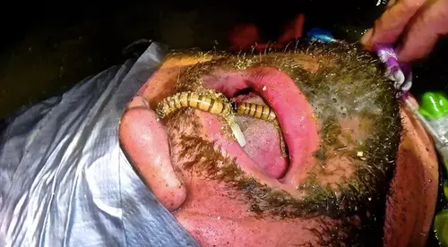 schermafbeelding 2019 10 24 om 114950