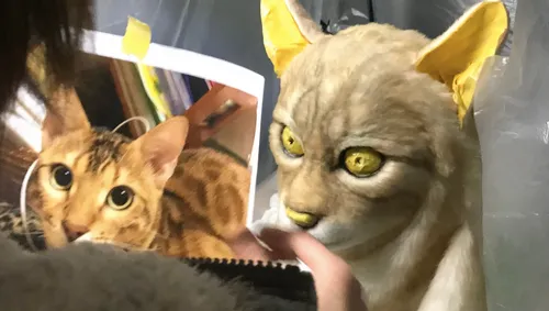 schermafbeelding 2020 01 07 om 163756