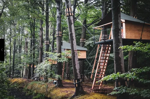 schermafbeelding 2020 09 04 om 174341