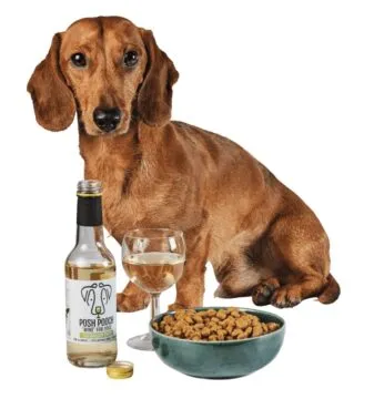 schermafbeelding 2020 12 02 om 160425 346x360