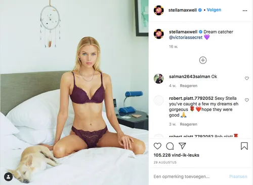 schermafbeelding 2020 12 22 om 173340