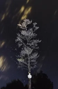 schermafbeelding 2022 09 09 om 141017 198x300