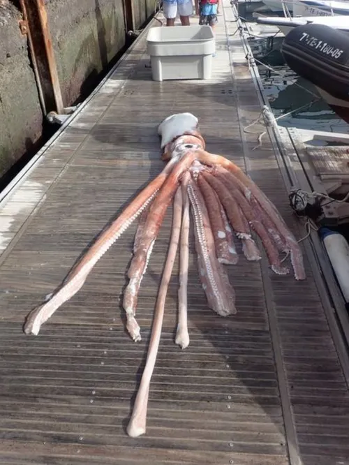 schermafbeelding 2022 10 17 135841