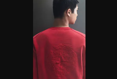 schermafbeelding 2024 01 09 om 104733