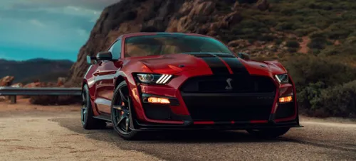 shelby 1 1024x465