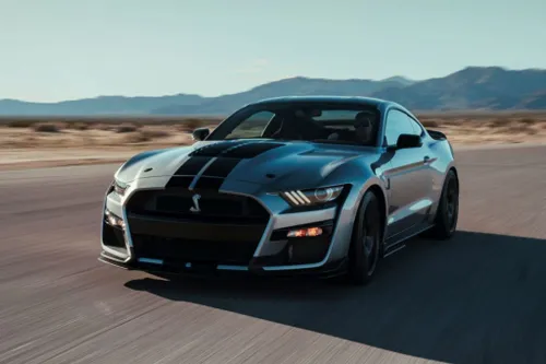 shelby 3 1024x683