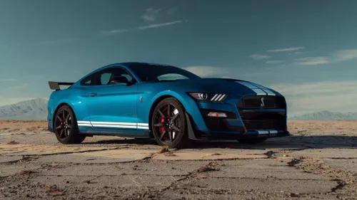 shelby 4 1024x577