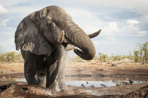 sur la iri zimbabwe 1024x680