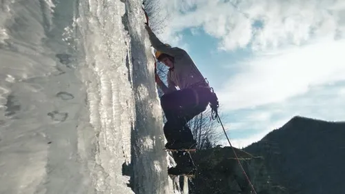 whatsapp image 2023 01 11 at 232346