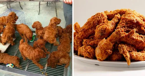 wwib 14