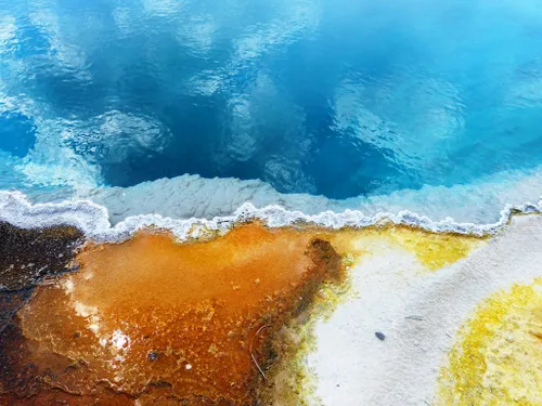 yellow sylvia sanders 1024x768