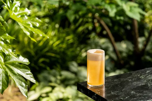 zomercocktail gold rush fizz martin eisma sins of sal