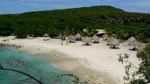 14152814215 7399ff8c5b h