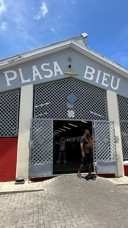 Plasa Bieu.