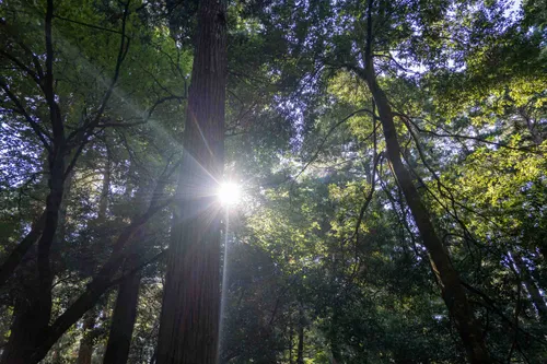 hokuriku japan cr web 04481