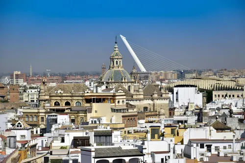 pexels-emilio-sanchez-hernandez-285921208-13377720