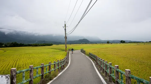 Taiwan_beeld_FHM-08107