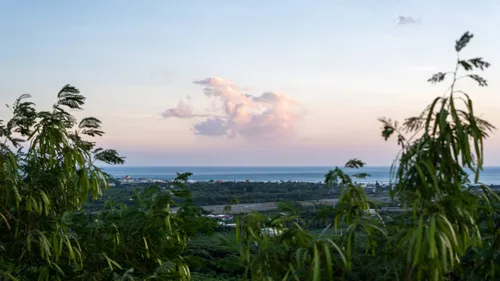 Taiwan_beeld_FHM-08309