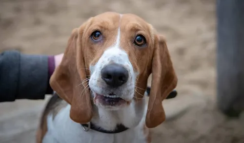 48077740 2041054149289707 2312536466636406784 n