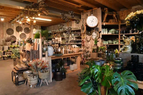 78337 20230110 raamsdonksveer dank jst5305 5568x3712