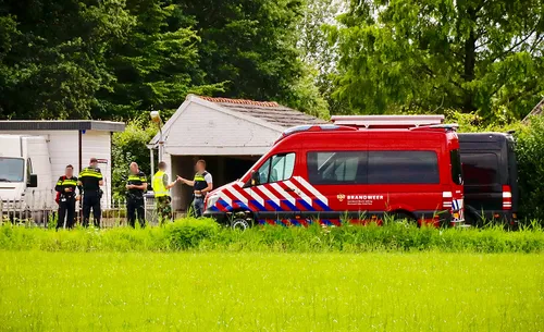 drugs molenschot ashley oomen