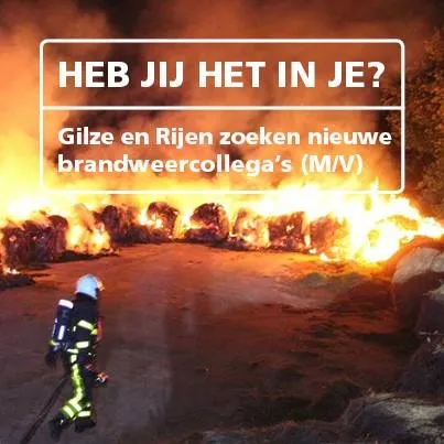 rijen zoekt