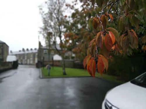 img 20161028 091832 stereo