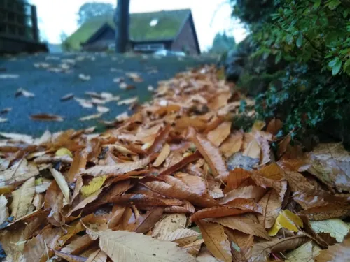 img 20161028 093011 stereo