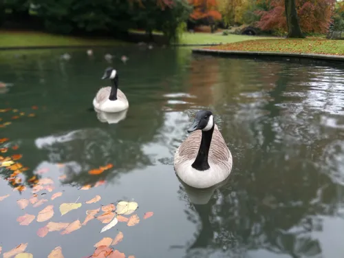 img 20161028 123217 stereo