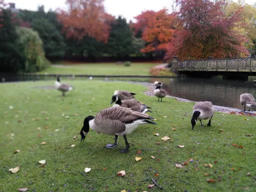 img 20161028 124134 stereo