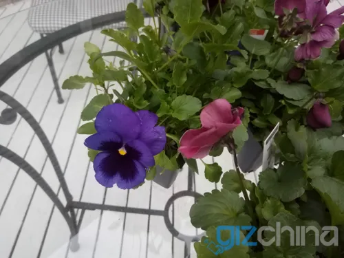 img 20170422 015448 1