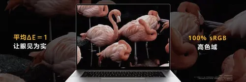 0020sxlvly1gqnr9dq028j62i00u018002