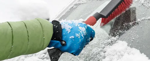 04dcb800 9128 4d2e b07e 99a6f4c467b0 cr012190898 pt0 sx1464 v1