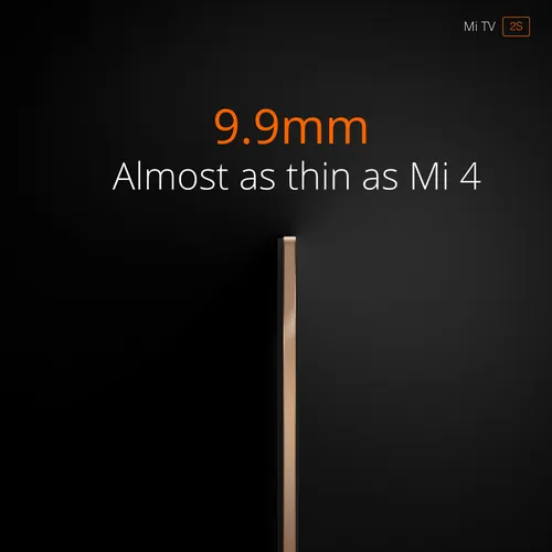 11223856 913413512027576 6469315735727188223 n