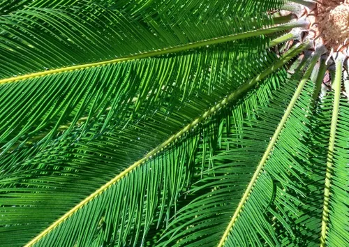 12657170 10153205843521612 5891880875379509357 o