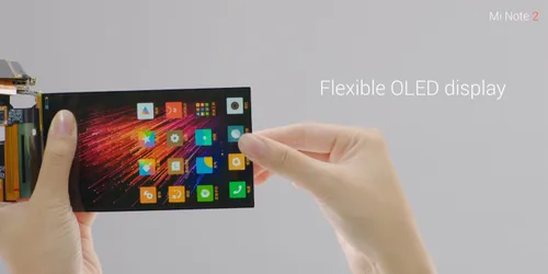 14570564 10153773220806612 4246551376507906602 o