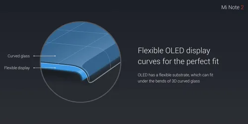 14708055 10153773220456612 5090920748107811577 o